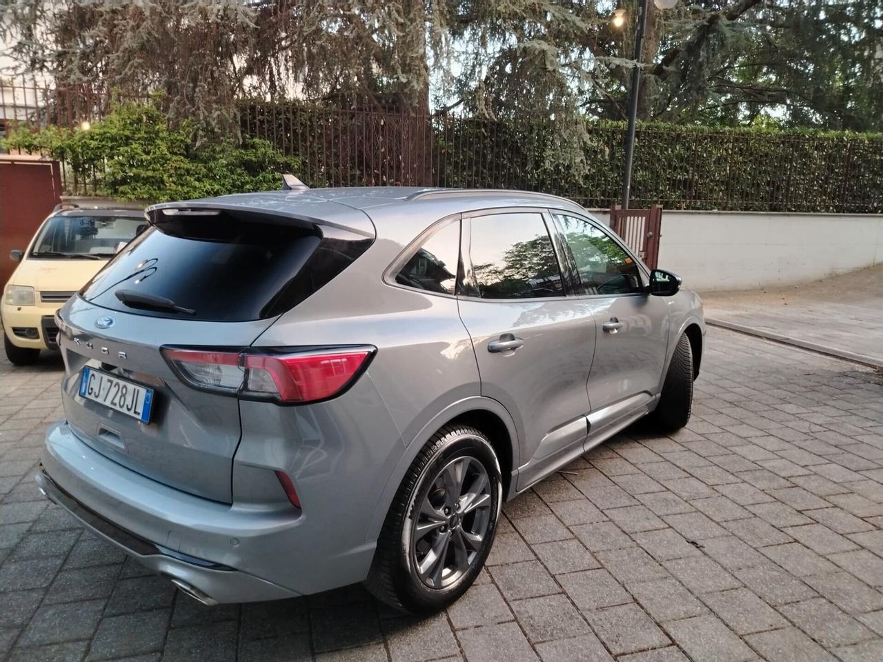 Ford Kuga 1.5 EcoBlue 120 CV aut. 2WD ST-Line X