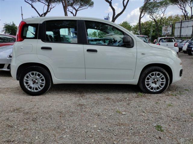 FIAT Panda 1.2 Easy GPL CLIMATIZZATORE OK NEOPATENTATI ..