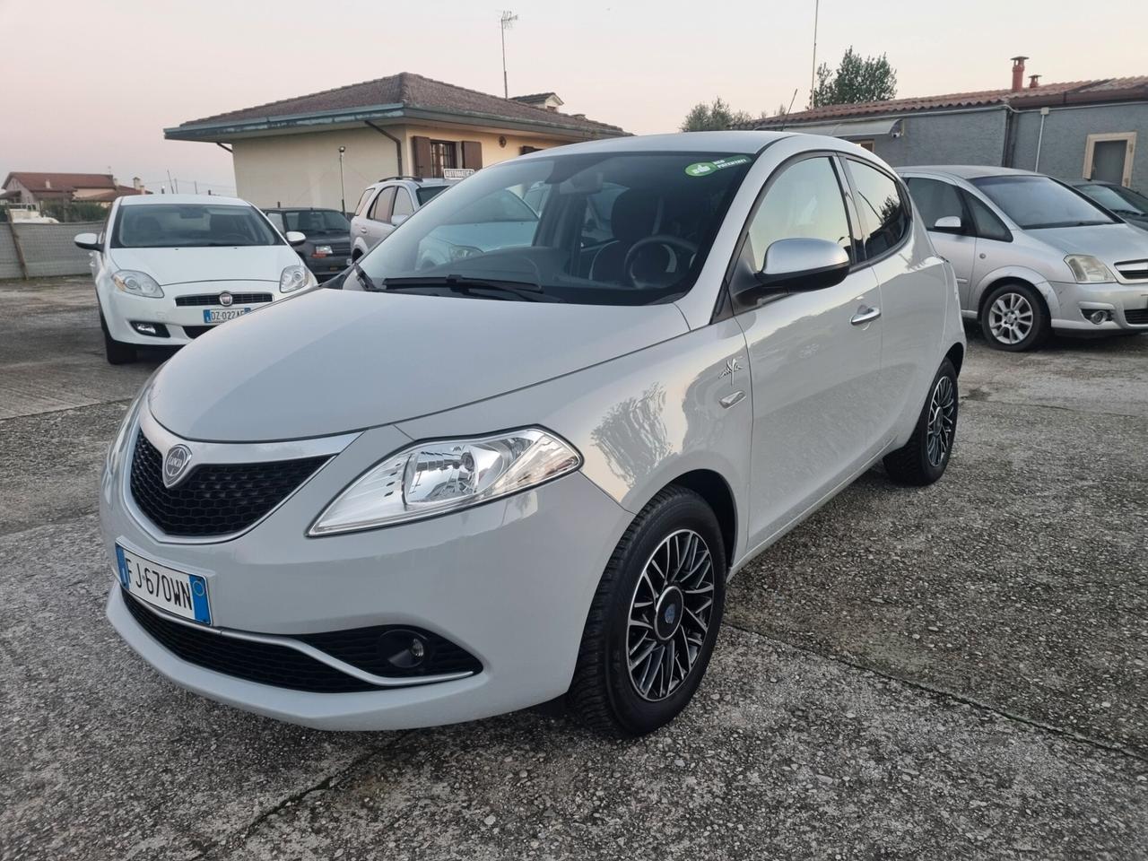 Lancia Ypsilon 1.2 69 CV 5 porte MYA "NEOPATENTATI"