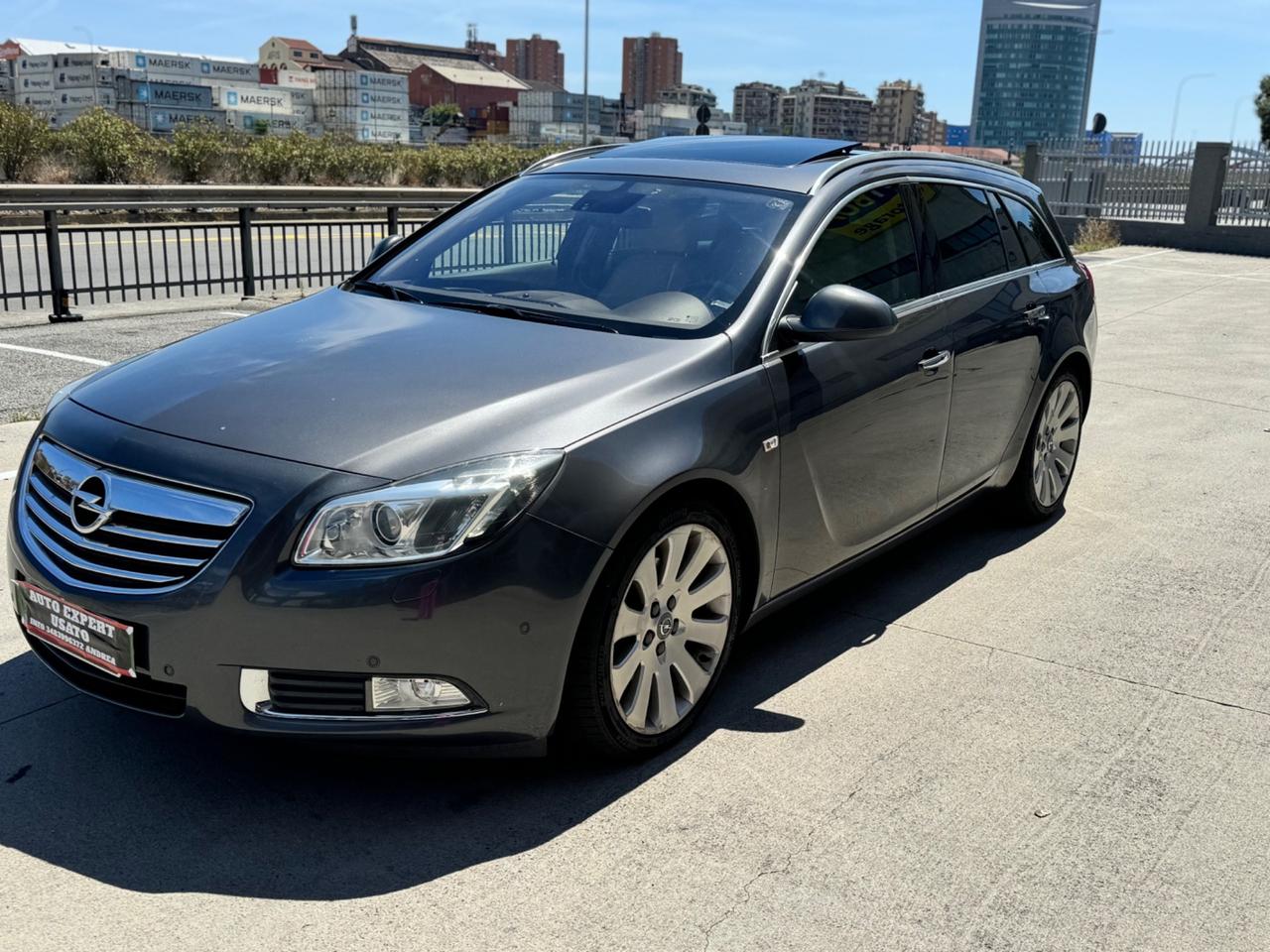 Opel Insignia 2.0 CDTI 160CV ecoFLEX Tourer Cosmo 2010