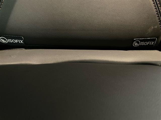 DACIA Spring Electric 65 Extreme