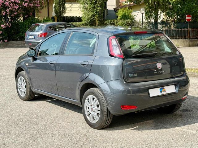 FIAT Punto 1.4 8V 5 porte Natural Power Easy