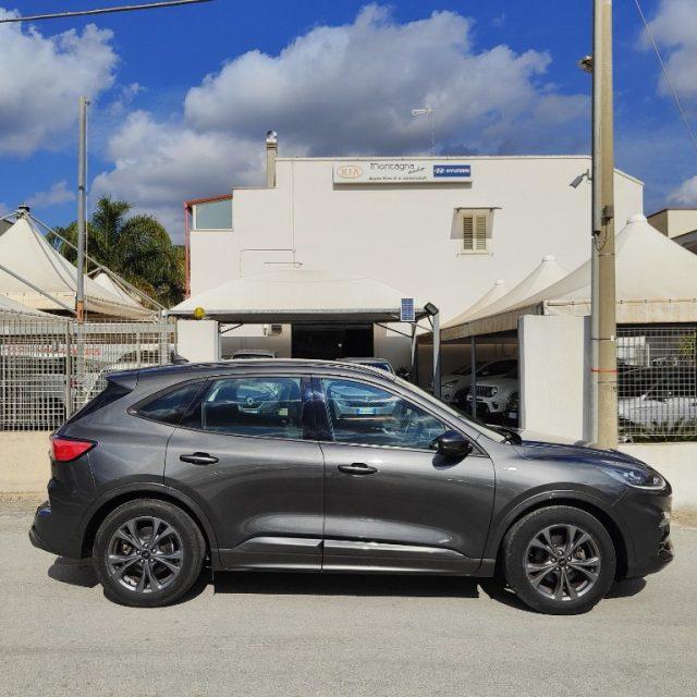 FORD Kuga 1.5 EcoBlue 120 CV 2WD ST-Line