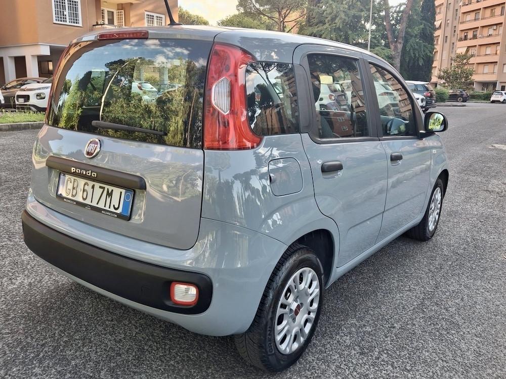 Fiat Panda 1.2 Trussardi