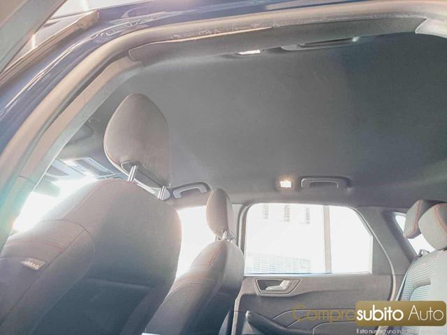 FORD Kuga 1.5 EcoBlue 120 CV 2WD Titanium Business