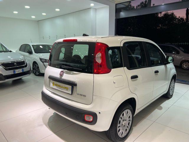 FIAT Panda 1.0 FireFly S&S Hybrid Pandina tua da ?139,00