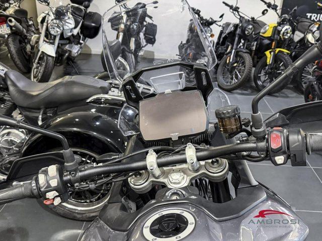 TRIUMPH Tiger 900 GT