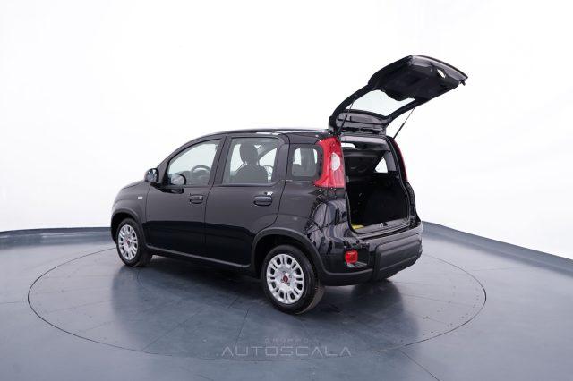 FIAT New Panda 1.0 FireFly S&S Hybrid Pack City