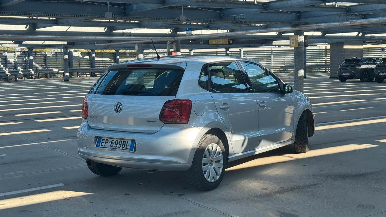 Volkswagen Polo 1.6 5 porte Highline BiFuel