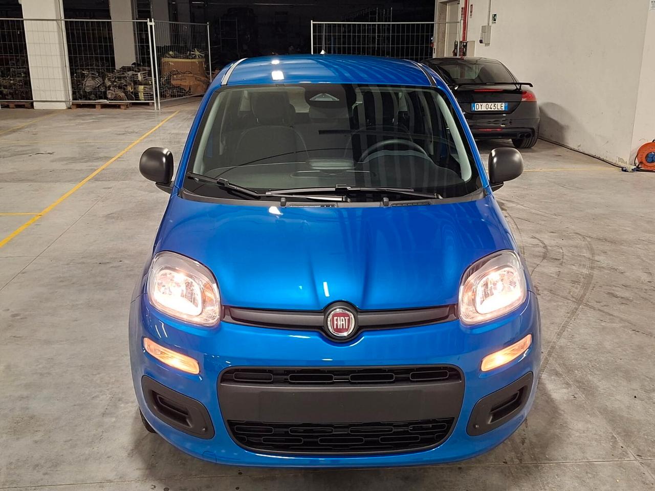 Fiat Panda 1.0 FireFly Hybrid 70CV Icon Km.0 (756)
