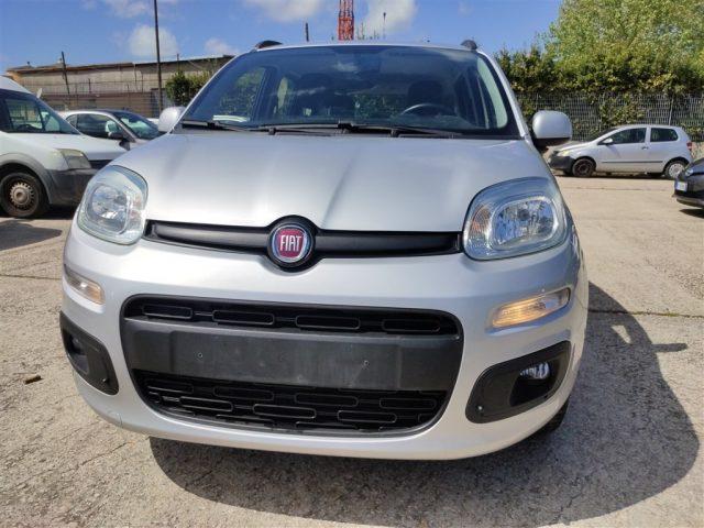 FIAT Panda 1.2 Lounge OK NEOPATENT. CLIMA,FENDINEBBIA ..