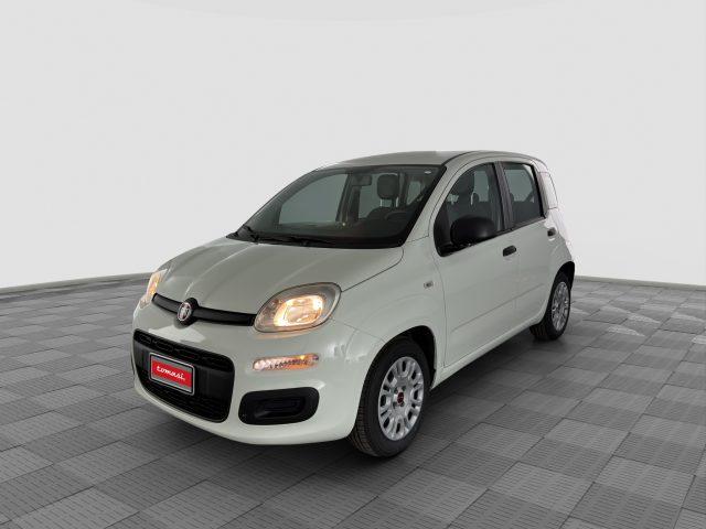 FIAT Panda Panda 1.0 FireFly 70cv S&S Hybrid E6d-Final EASY