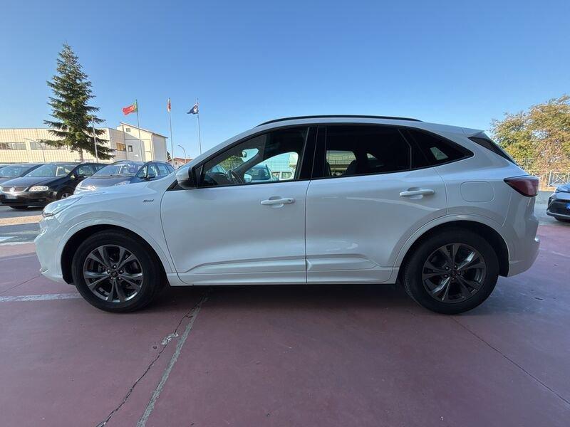 Ford Kuga Kuga 1.5 EcoBlue 120 CV aut. 2WD ST-Line