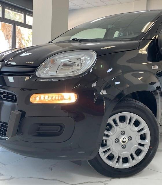 Fiat Panda Pandina 1.0 FireFly 65 CV Hybrid Icon 5.p