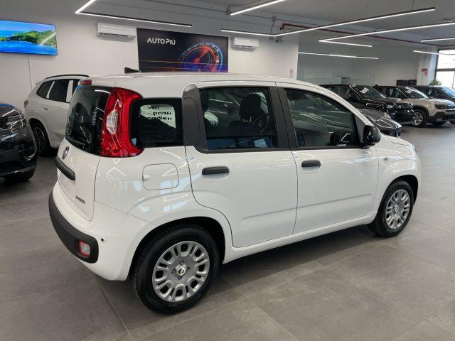 FIAT Pandina 1.0 Hybrid Icon KM0 MY26