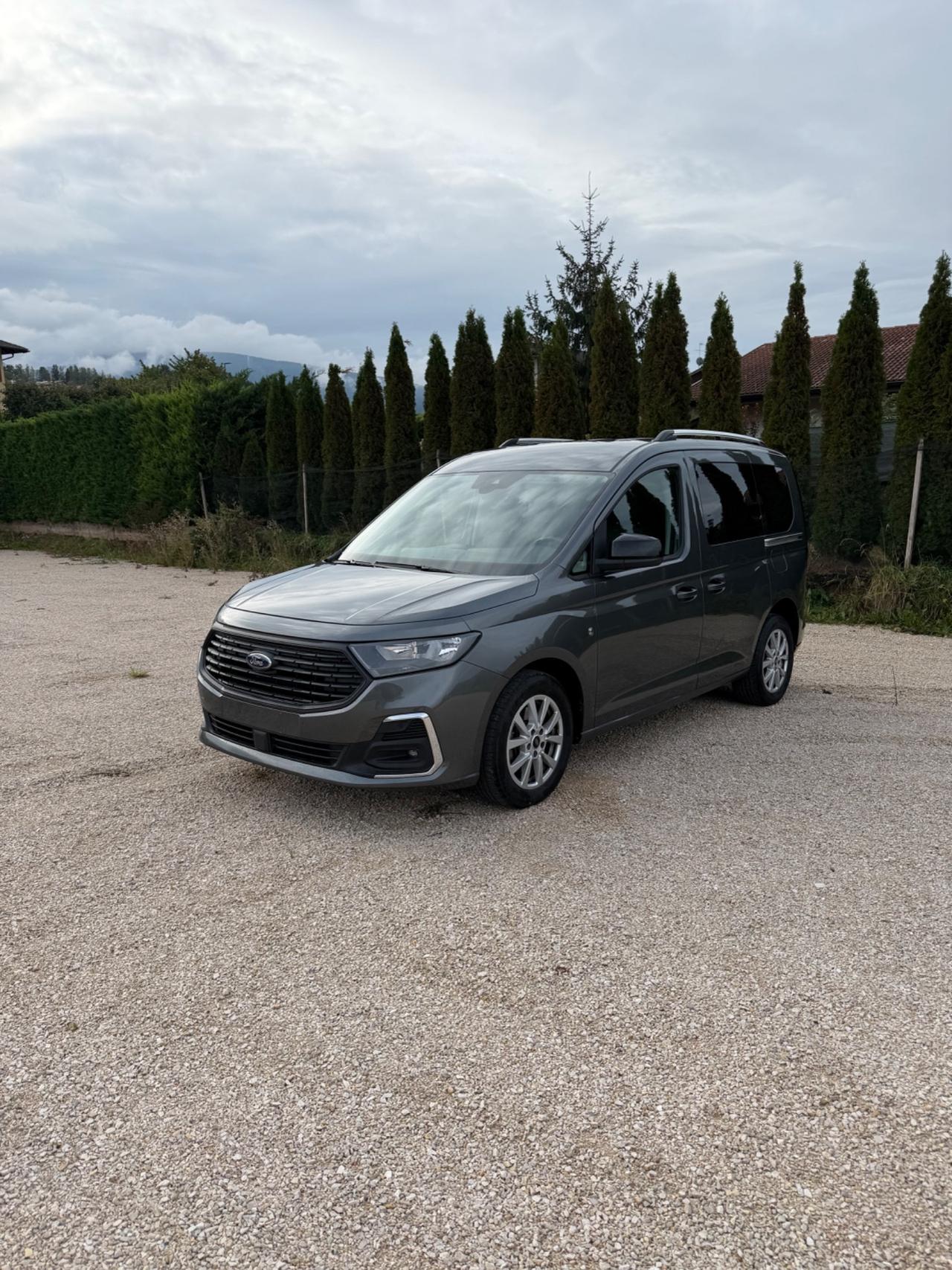 Ford Tourneo Connect 2.0 EcoBlue 122 CV AWD Titanium