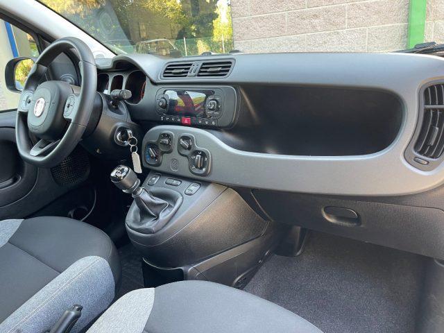 FIAT Panda 1.0 FIREFLY HYBRID 70CV CITY LIFE BLUETOOH