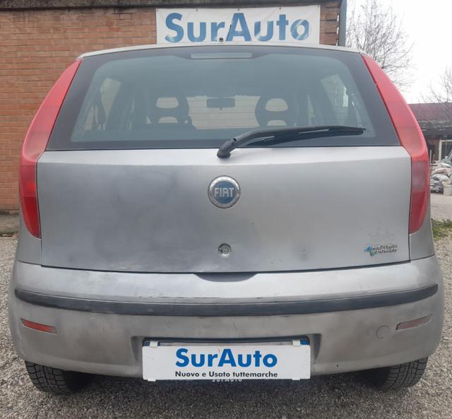 FIAT Punto 1.2 5 porte Active Natural Power