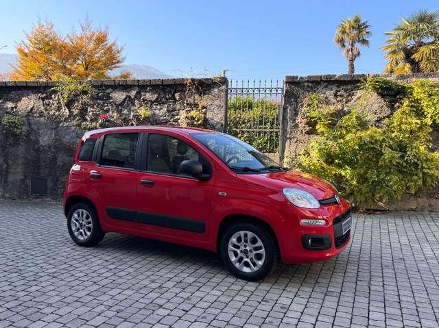 Fiat Panda 1.2 Easy *OK Neopatentati*