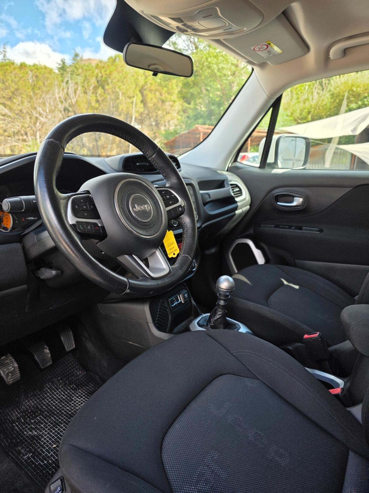 Jeep Renegade 1.6 Mjt 120 CV Longitude