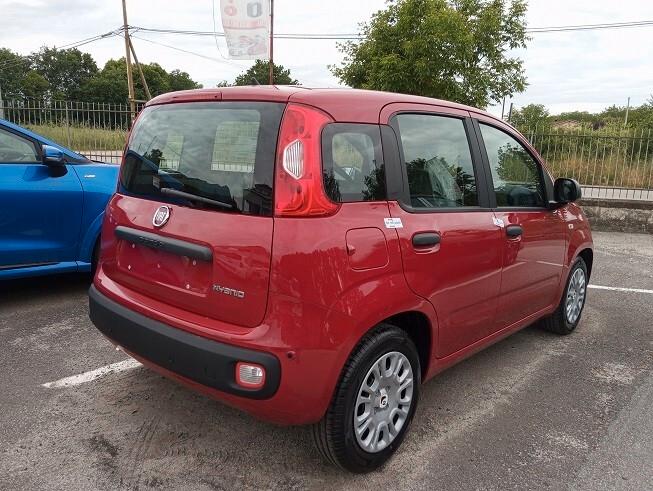 FIAT PANDA 1.0 70cv Hybrid MY25