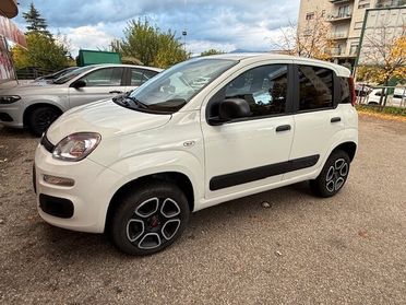Fiat Panda 0.9 TwinAir Turbo S&S 4x4 Pop Van 2 posti