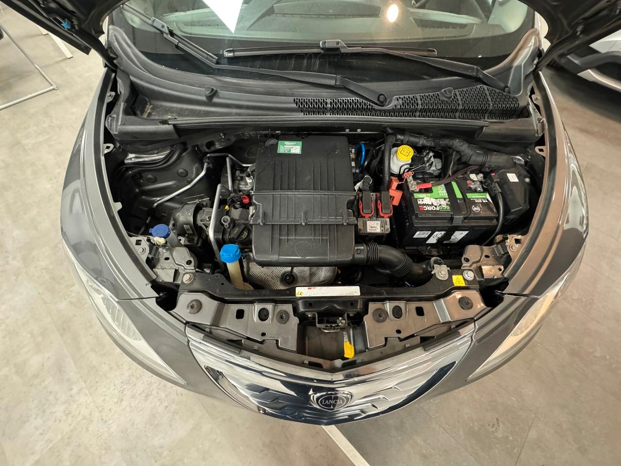 Lancia Ypsilon 1.2 69 CV 5 porte Platinum