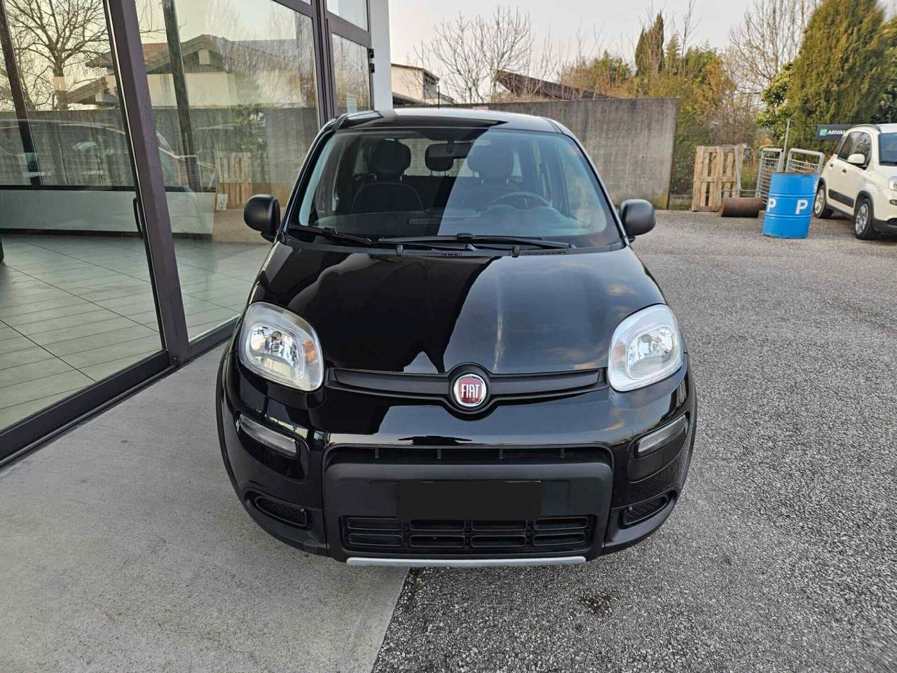 Fiat Panda 1.0 FireFly S&S Hybrid