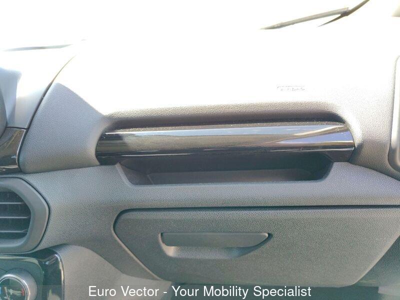 Ford EcoSport 1.0 EcoBoost 125 CV Start&Stop Titanium