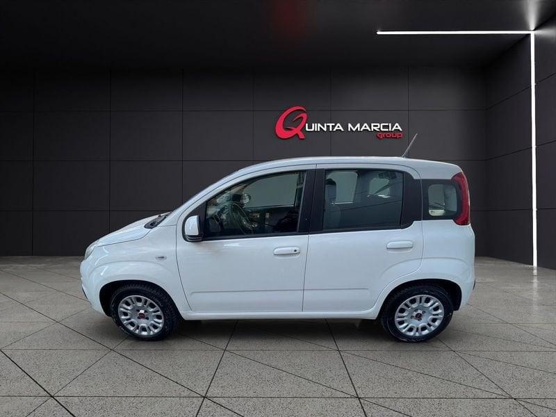 FIAT Panda 1.2 69 CV EasyPower GPL (29-24)