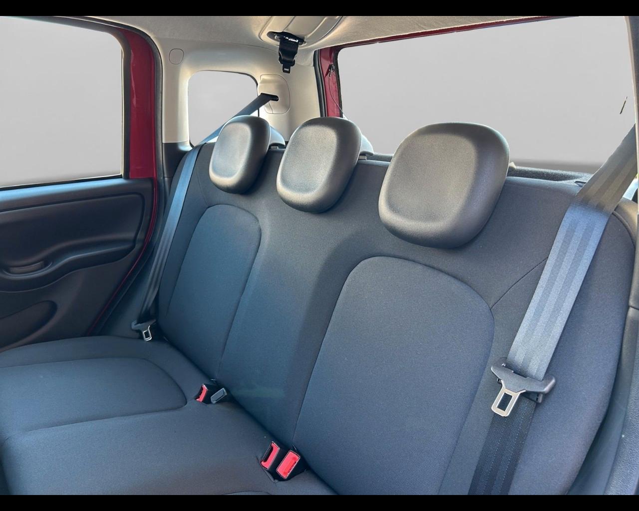 FIAT Panda My25 1.0 70cv Hybrid Panda