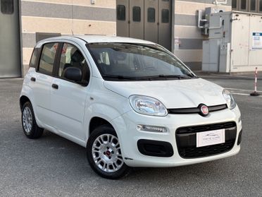 FIAT PANDA 1.2 benzina 5 POSTI EURO 6 NEOPATENTATI