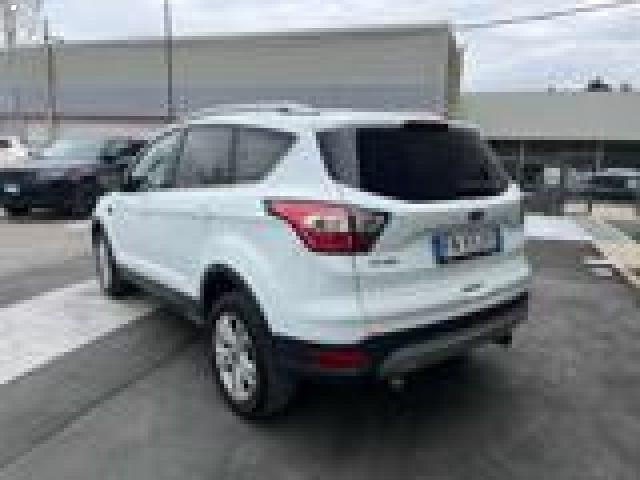 FORD Kuga 1.5 TDCI 120 CV S&S 2WD Powershift Business