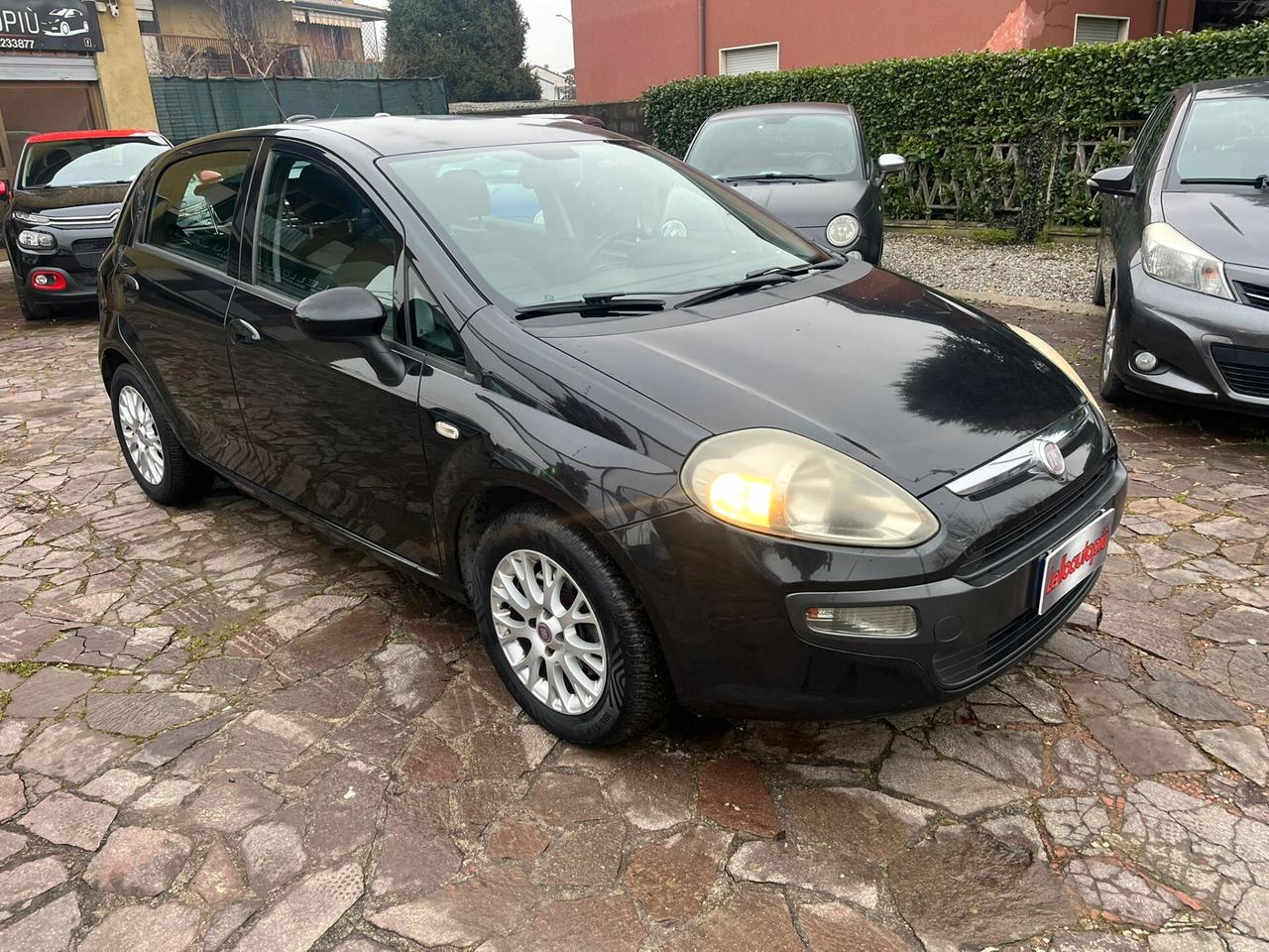 Fiat Punto Evo 1.3 Mjt 95 CV DPF 5 porte S&S Emotion