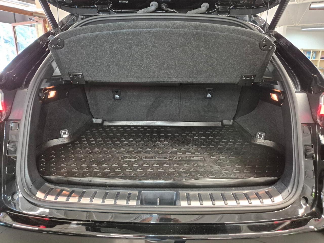 Lexus NX 300h Hybrid 4WD F-Sport