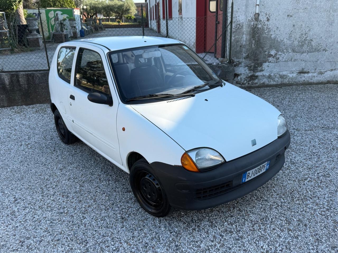 Fiat Seicento 900i cat Young
