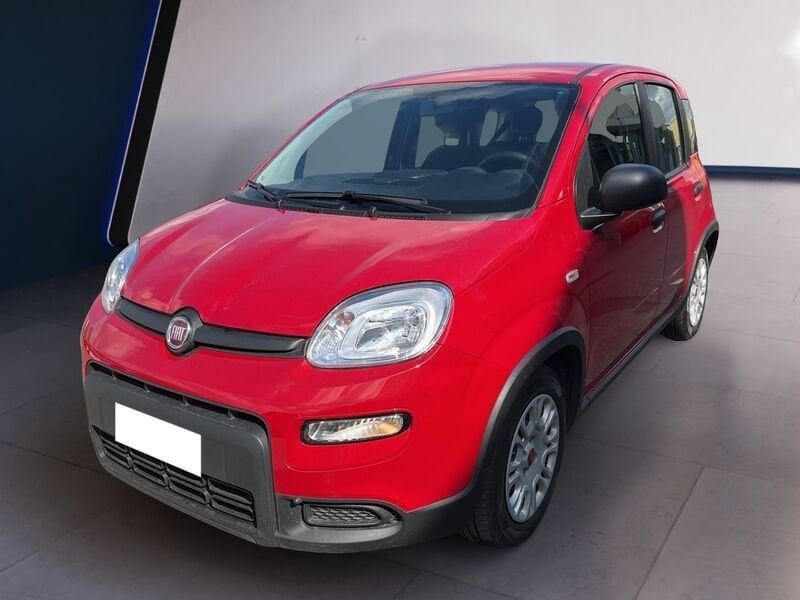 FIAT Panda My24 1.0 70cv Hybrid Panda