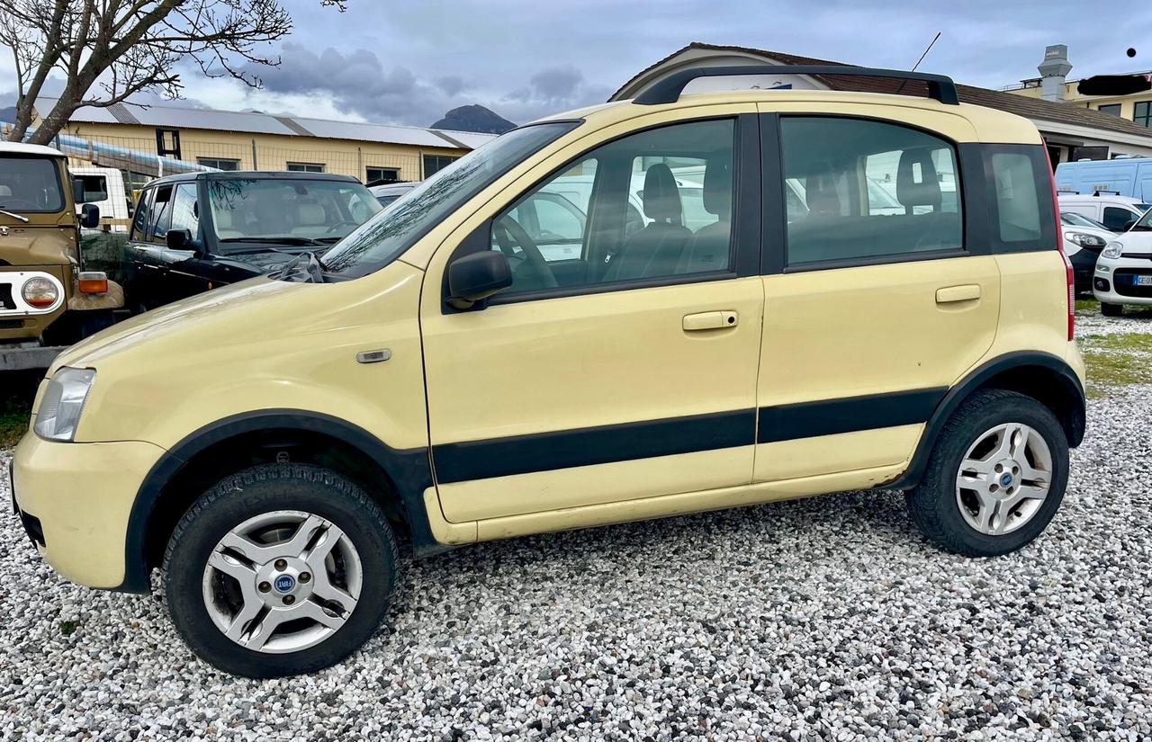 Fiat Panda 1.3 MJT 16V 4x4