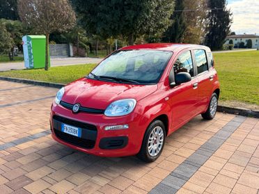 Fiat Panda 1.2 Lounge (NEOPATENTATI)
