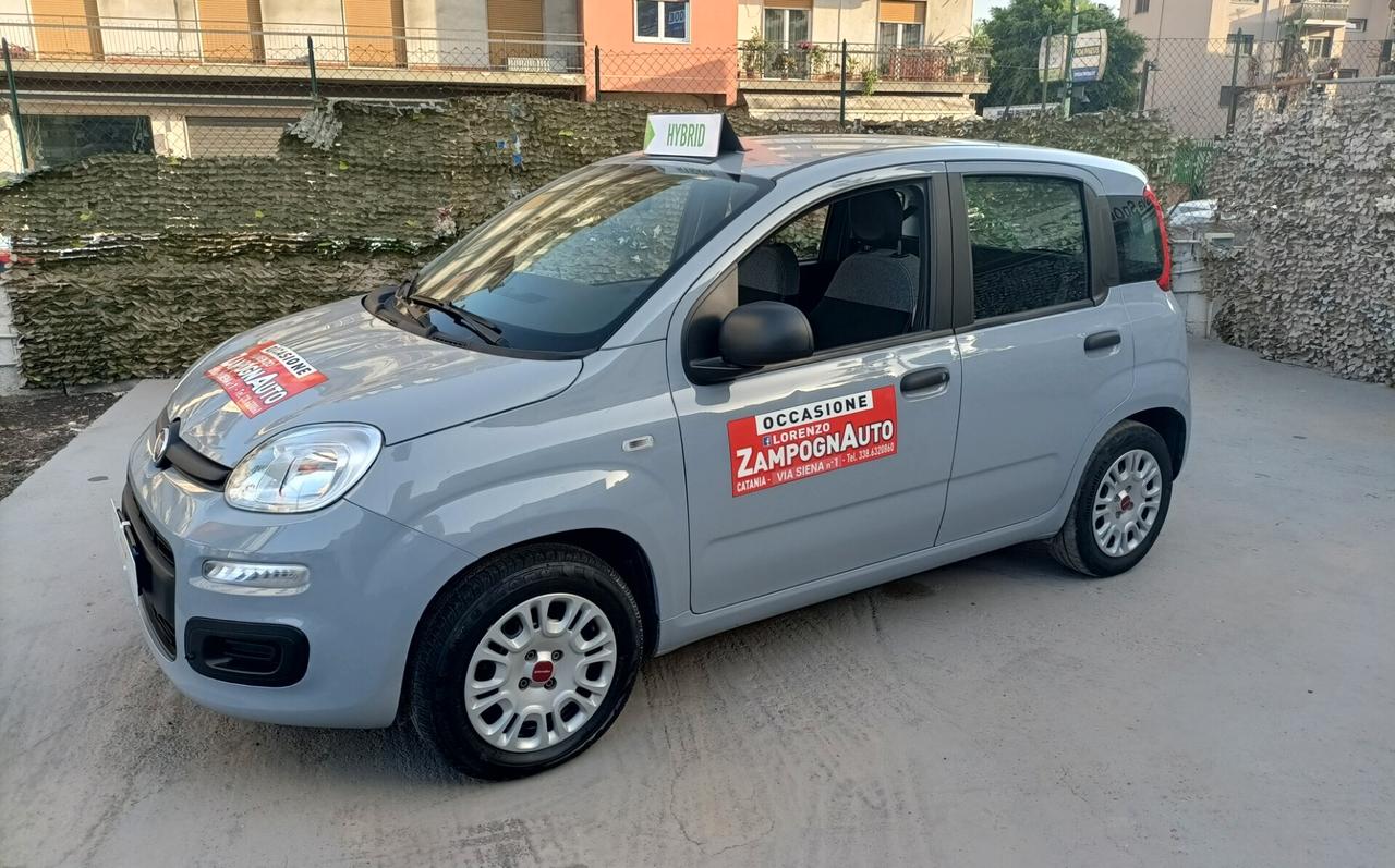 Fiat Panda 1.0 FireFly S&S Hybrid 2021 ZAMPOGNAUTO CT