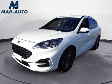 Ford Kuga 1.5 EcoBlue 120 CV aut. 2WD ST-Line IVA ESPOSTA