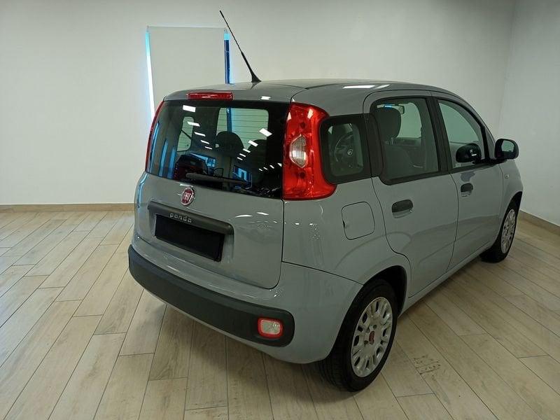 FIAT Panda 3ª serie 1.2 Easy