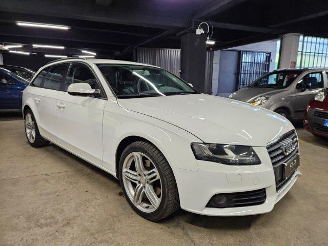 AUDI A4 Avant 2.0 TDI 143 CV F.AP. multitronic