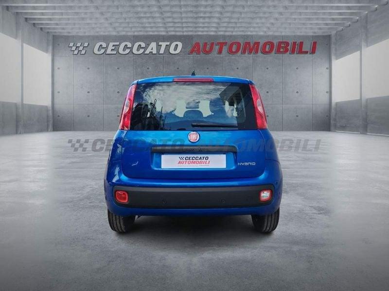 FIAT Panda Panda 1.0 70cv Hybrid Icon