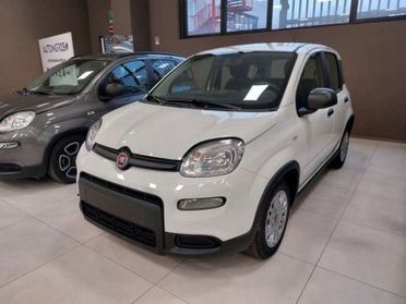 FIAT Panda 1.0 firefly hybrid s KM/0 IN PRONTA CONSEGNA