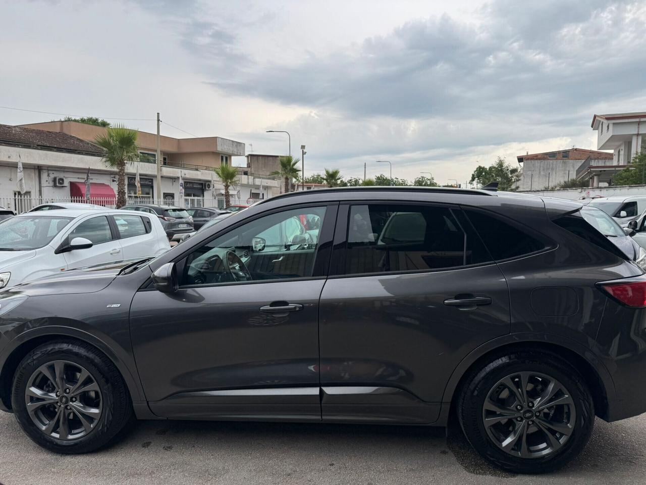 Ford Kuga 1.5 EcoBlue 120 CV aut. 2WD ST-Line
