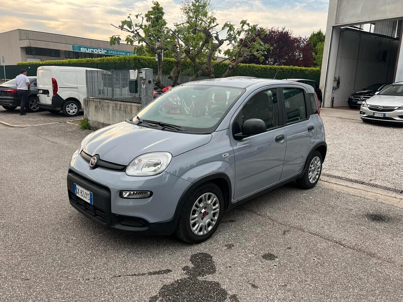 Fiat Panda 1.0 FireFly S&S Hybrid Red Ok neopatentato