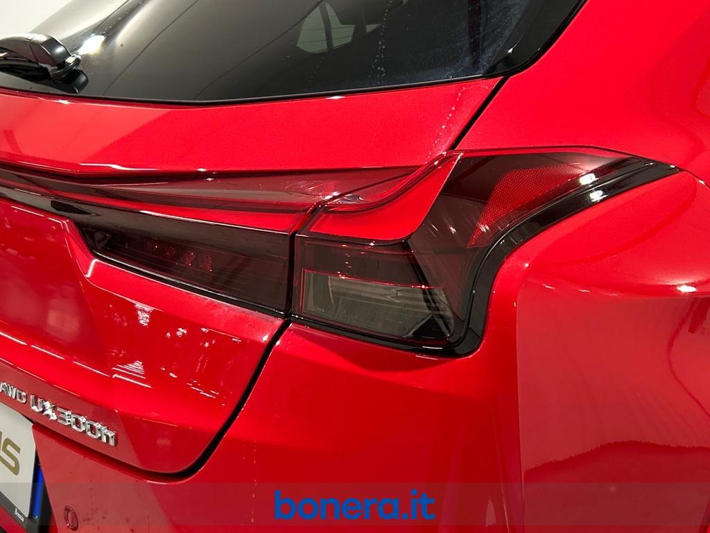 Lexus UX 300 2.0 Premium Hybrid F-Sport 4WD Power Split Device