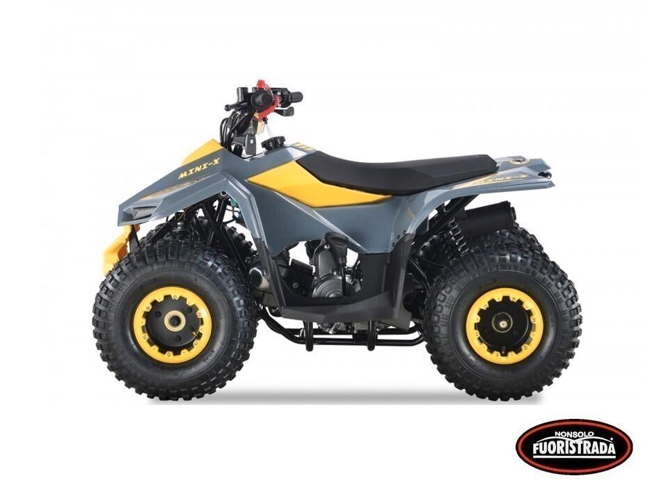 Lem Motor Quad, Grizzly 110cc