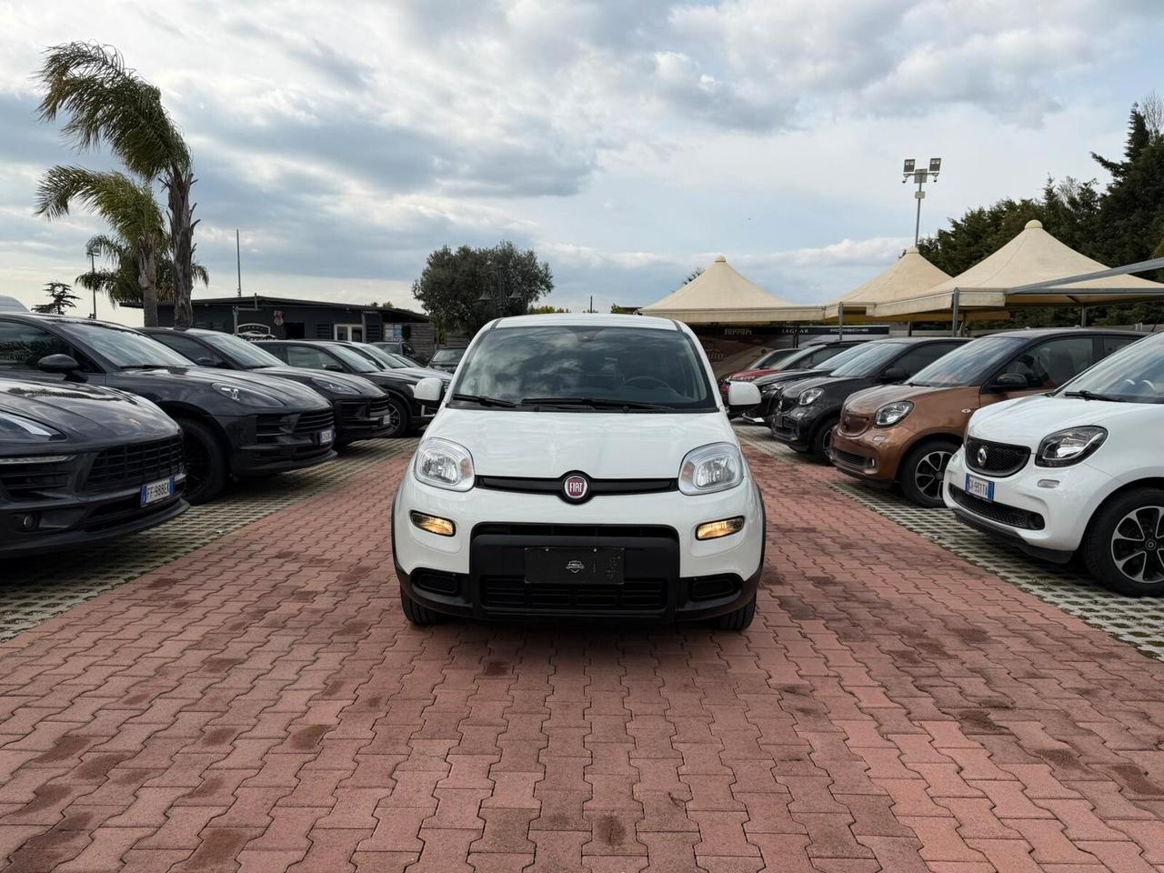 Fiat Panda 1.0 FireFly S&S Hybrid (IVA DEDUCIBILE)